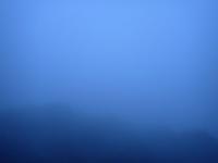 20250730 (10).JPG